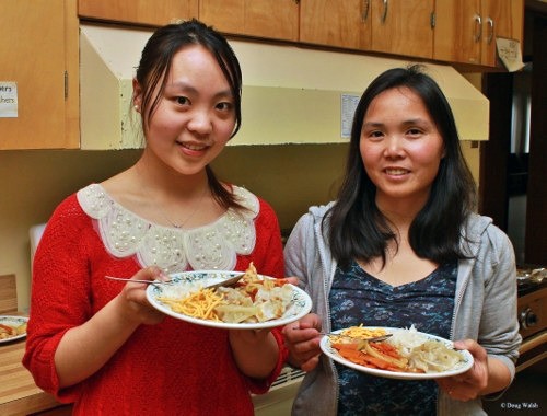 img 7810   copy  500x380 